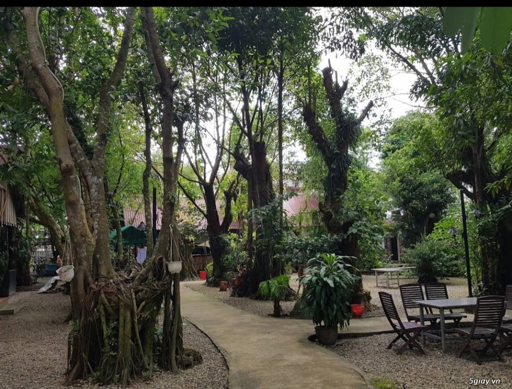 cần bán đất trung tâm tp.phú quốc