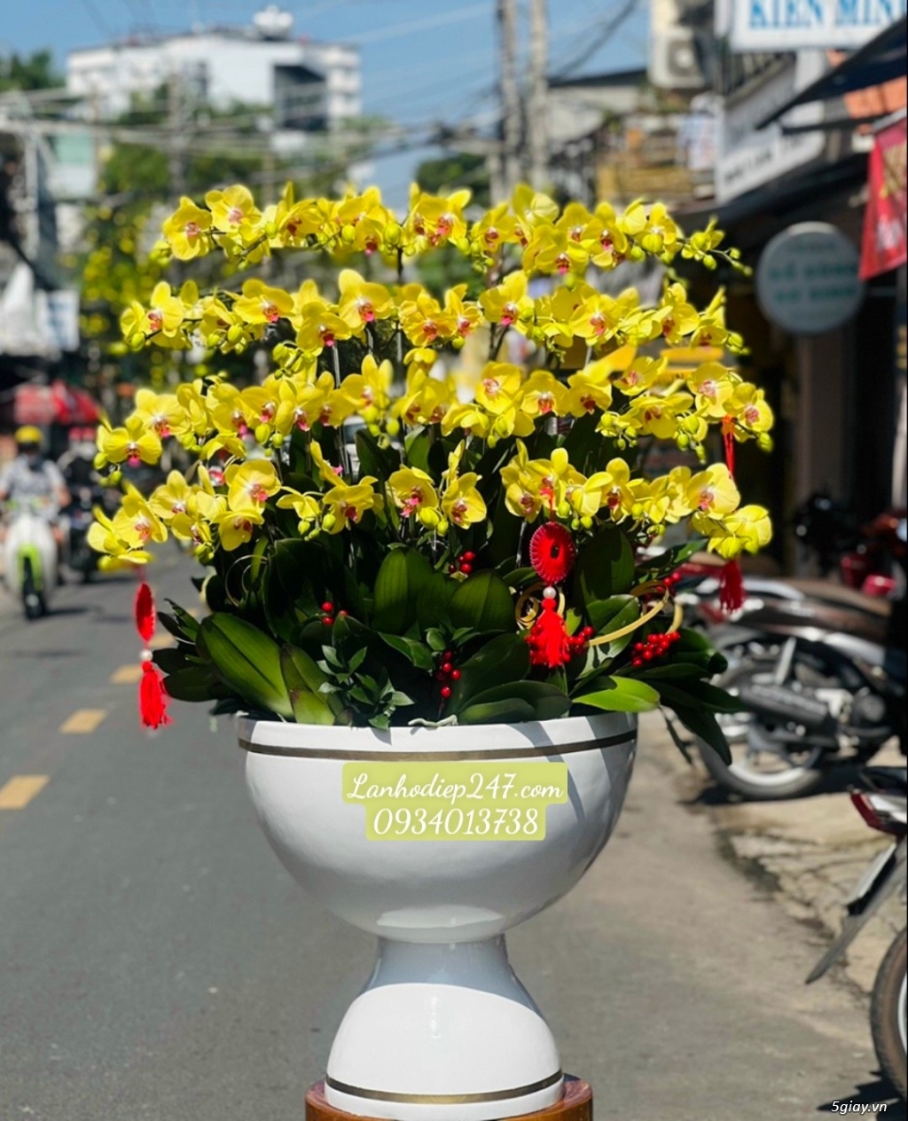 Shop hoa bán lan hồ điệp đẹp uy tín hút khách nhất tphcm - Hoatuoi247 - 20