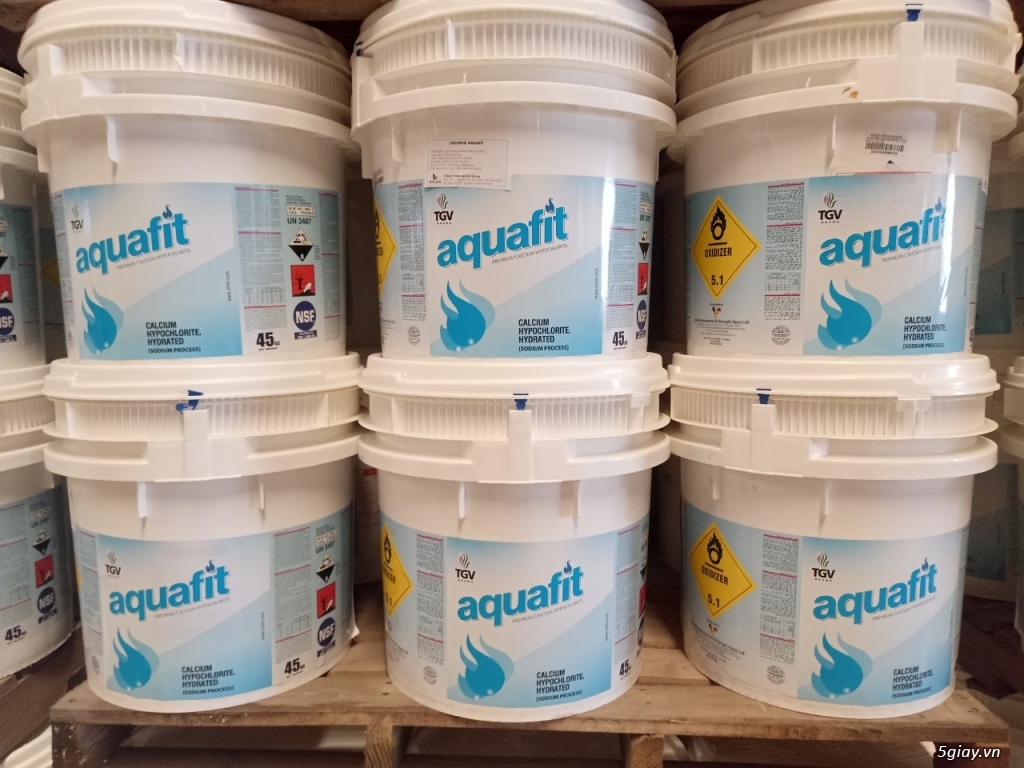 Chlorine Aquafit thùng lùn 62%