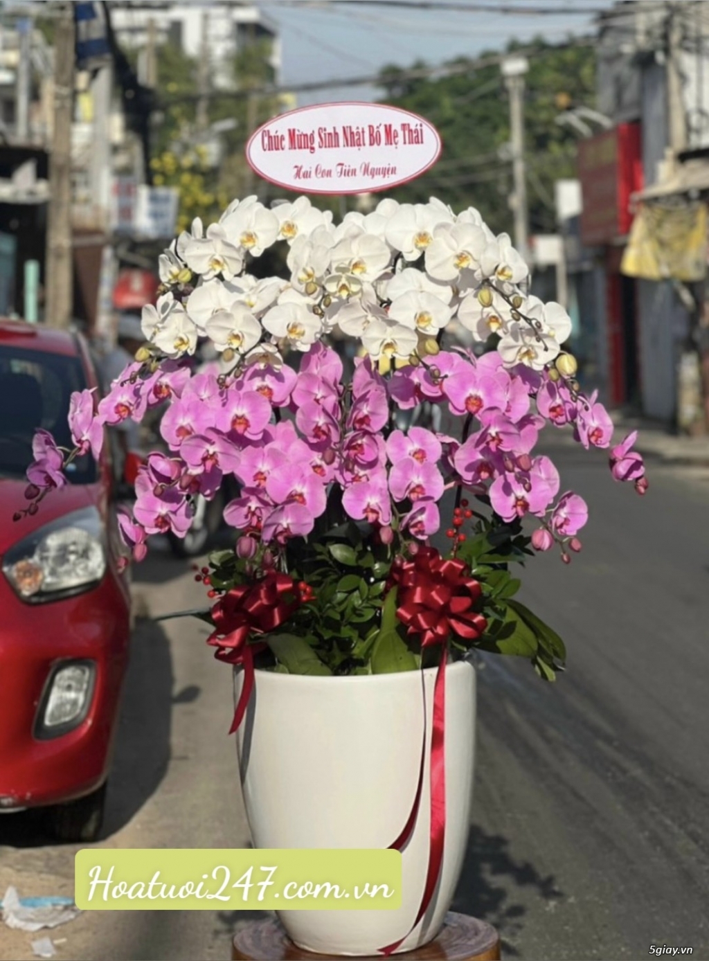 Đặt mua hoa lan cao cấp nhất tphcm tại Shop Lan Hồ Điệp 247 - 19