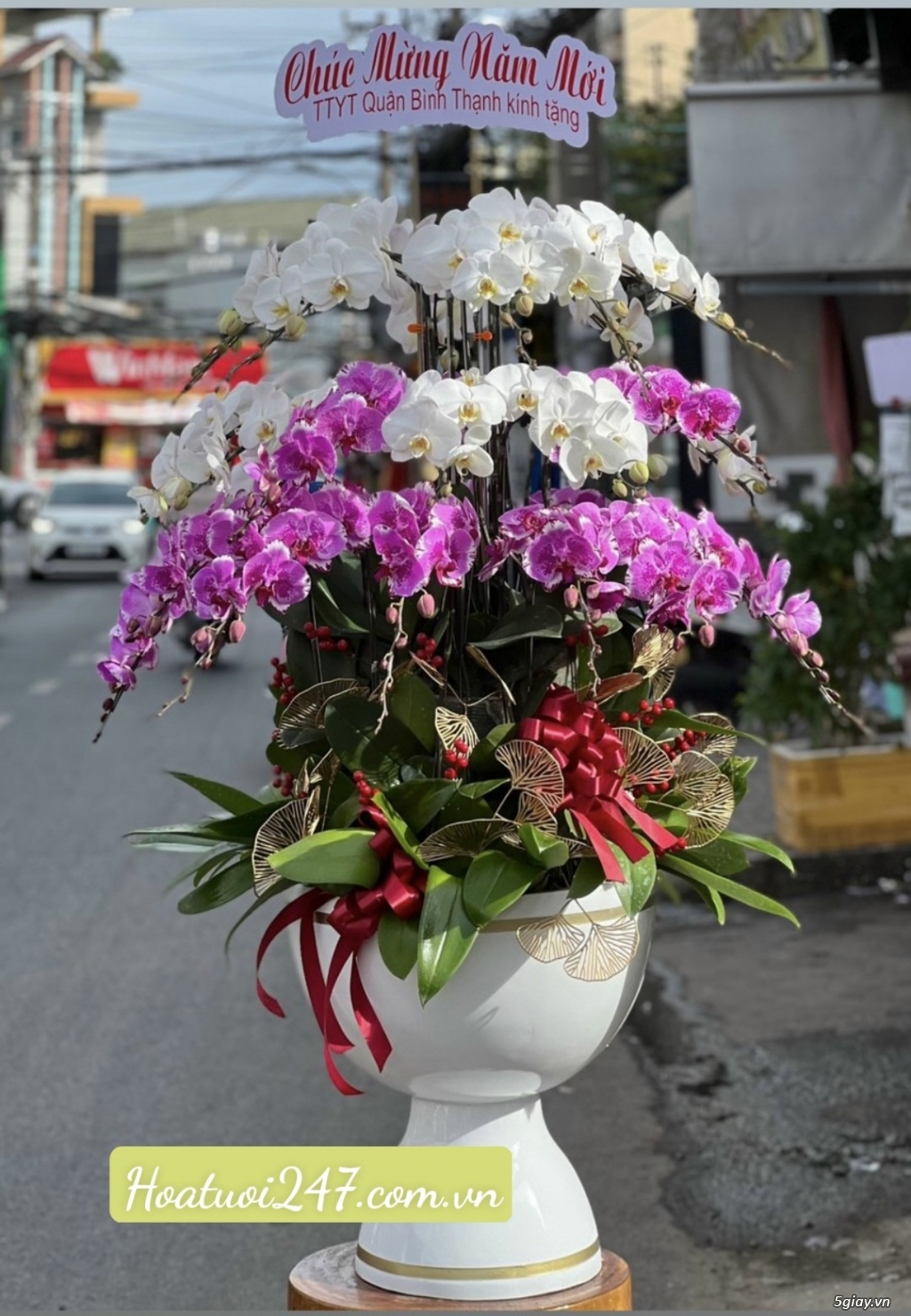 Đặt mua hoa lan cao cấp nhất tphcm tại Shop Lan Hồ Điệp 247 - 20