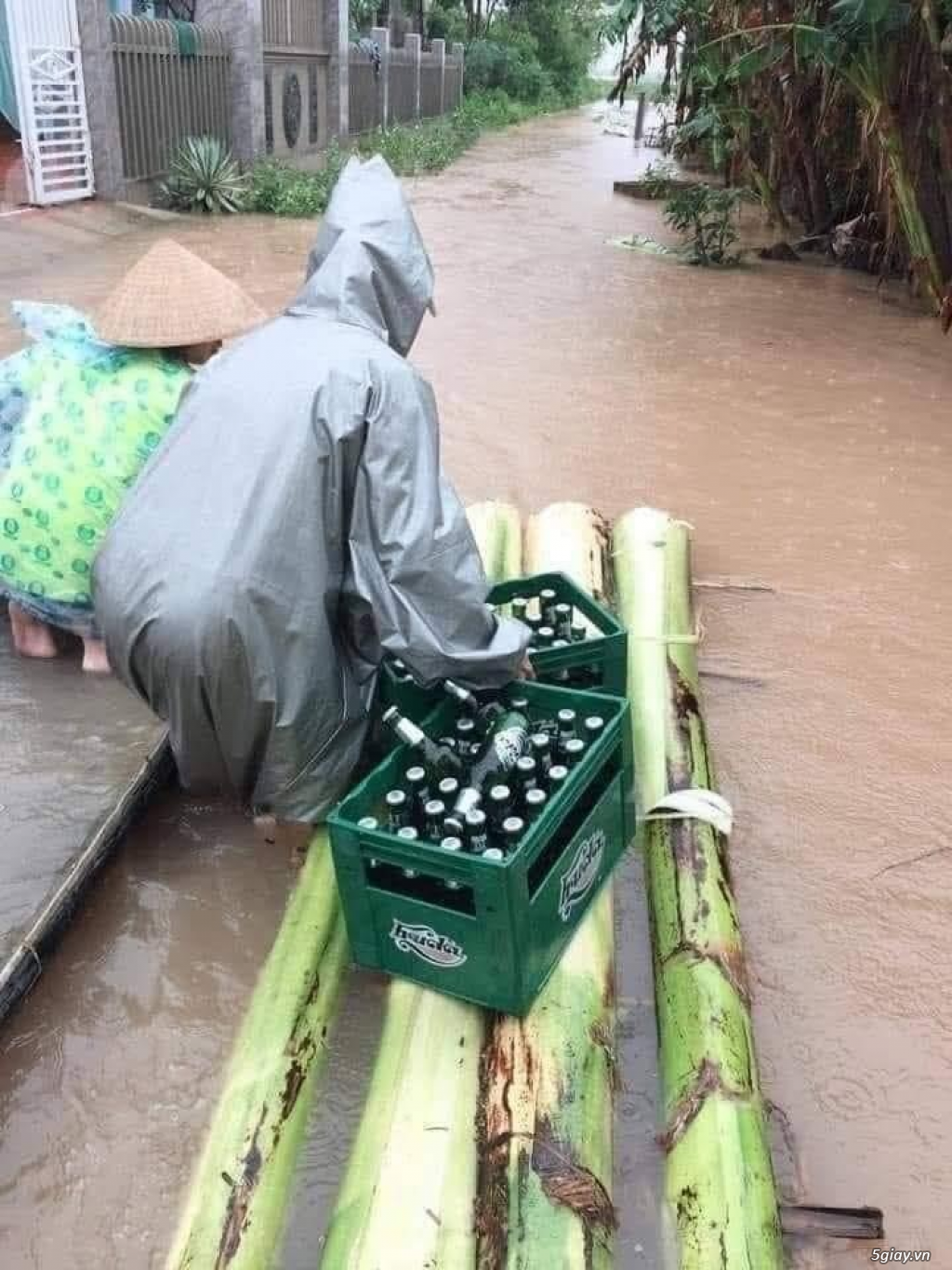 Hình hài hước... Nhiều thể loại vui nhôn - 4