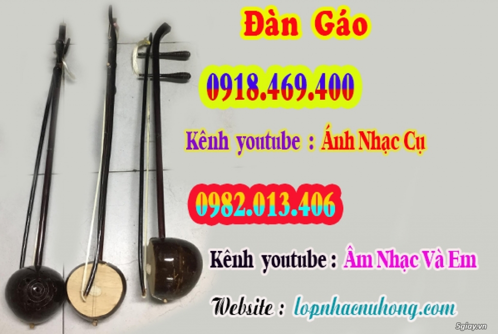 Shop bán nhạc cụ dân tộc, phụ kiện nhạc cụ dân tộc tại Sài Gòn, Gò Vấp - 1