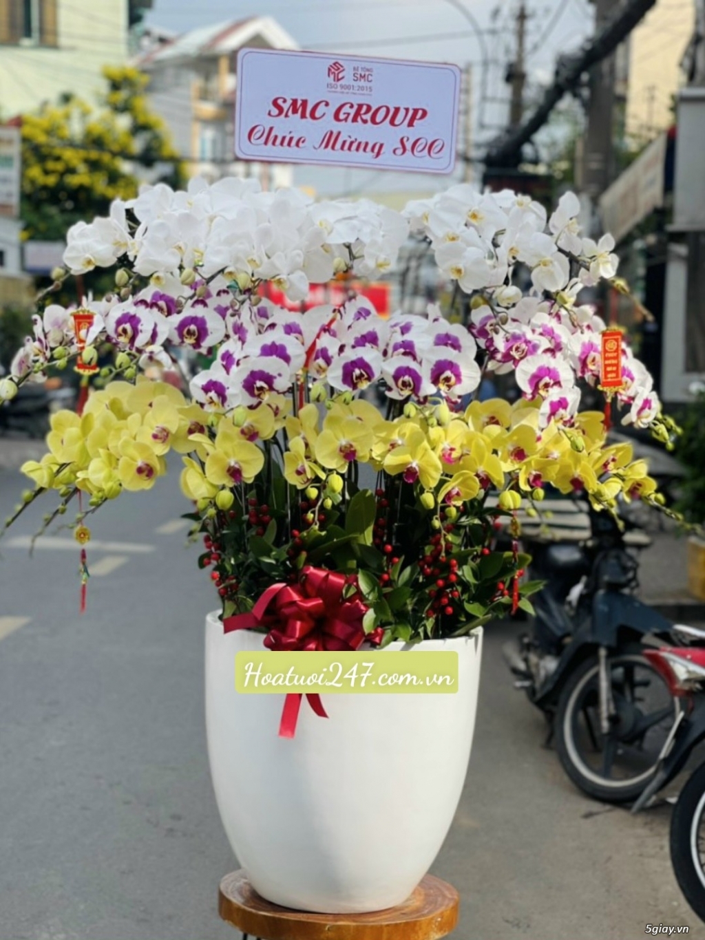Đặt hoa Lan Hồ Điệp Tết tại Shop Hoa Lan Sài Gòn 247 uy tín chất lượng - 6