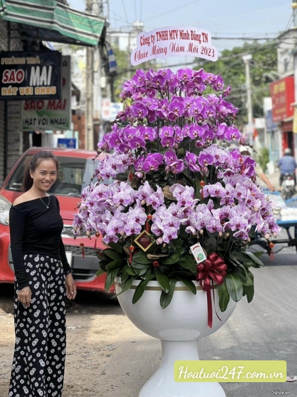 Đặt hoa Lan Hồ Điệp Tết tại Shop Hoa Lan Sài Gòn 247 uy tín chất lượng - 17