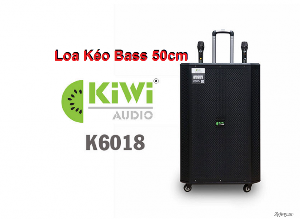 Loa kéo Kiwi K6018 bass 30cm công suất 500 - 1000W chơi tốt ngoài trời - 2