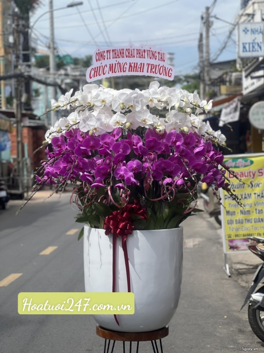 Shop Hoa Lan TPHCM chuyên Lan Hồ Điệp đẹp cao cấp hàng đầu thị trường - 14