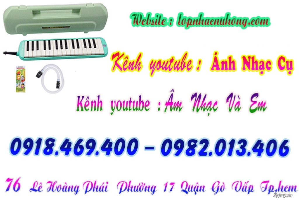 Địa chỉ nơi bán các loại kèn, sáo, tiêu, trống, phụ kiện nhạc cụ - 2