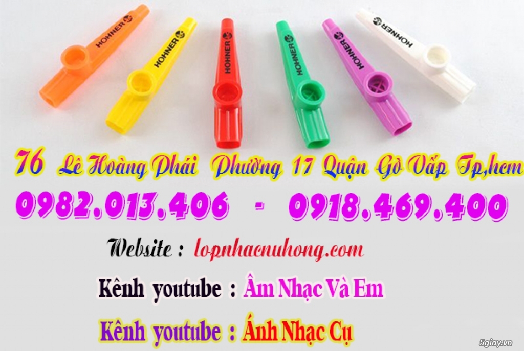 Địa chỉ nơi bán các loại kèn, sáo, tiêu, trống, phụ kiện nhạc cụ - 9