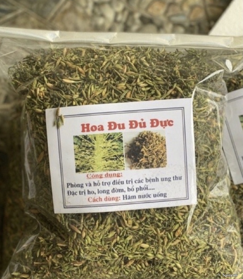 Hoa đu đủ đực khô - 1