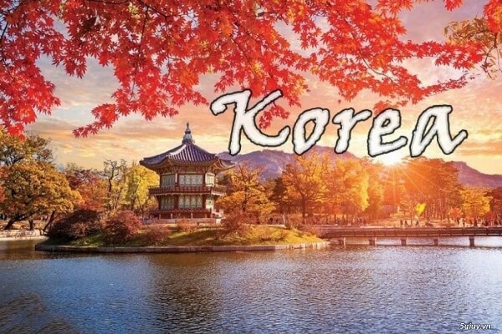 Tour du lịch Hàn Quốc : Seoul - Lotte World - Đảo Nami  Mùa Yêu Thương