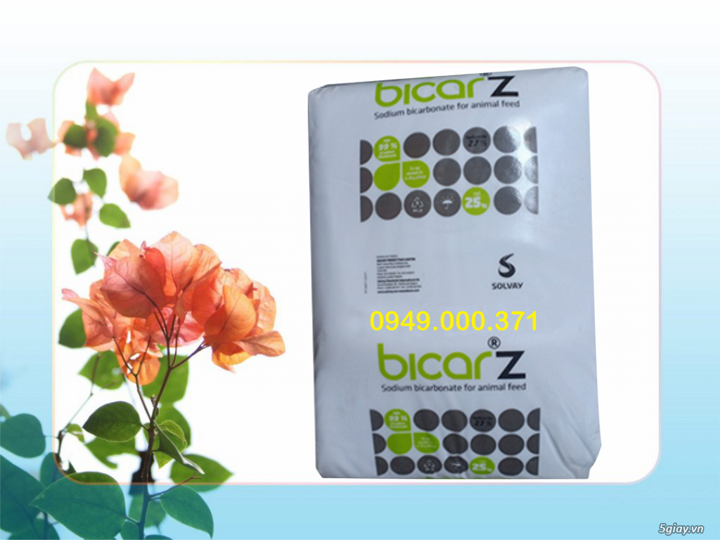 BICAR Z, Soda lạnh Thái Lan hỗ trợ tăng kiềm tối đa cho ao nuôi tôm