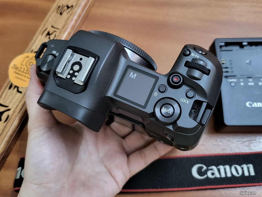 Canon EOS R / RF 85F2 / RF 35F1.8 / RF 16F2.8 / RF 50F1.8 / RF 24-105 - 3