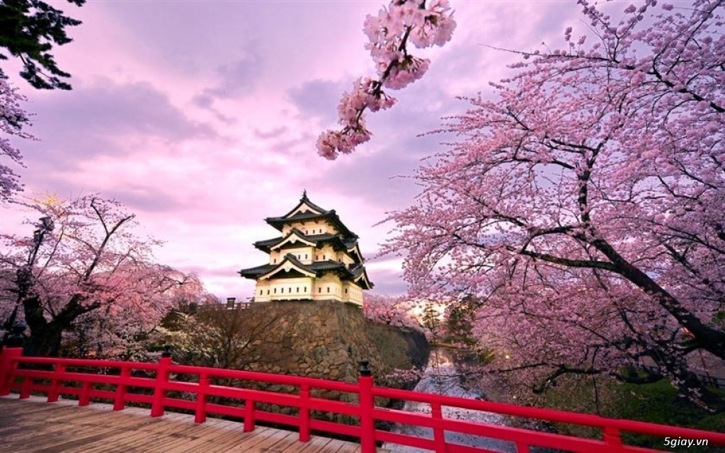 Tour Du lịch Nhật Bản đến xứ sở hoa anh đào - 1