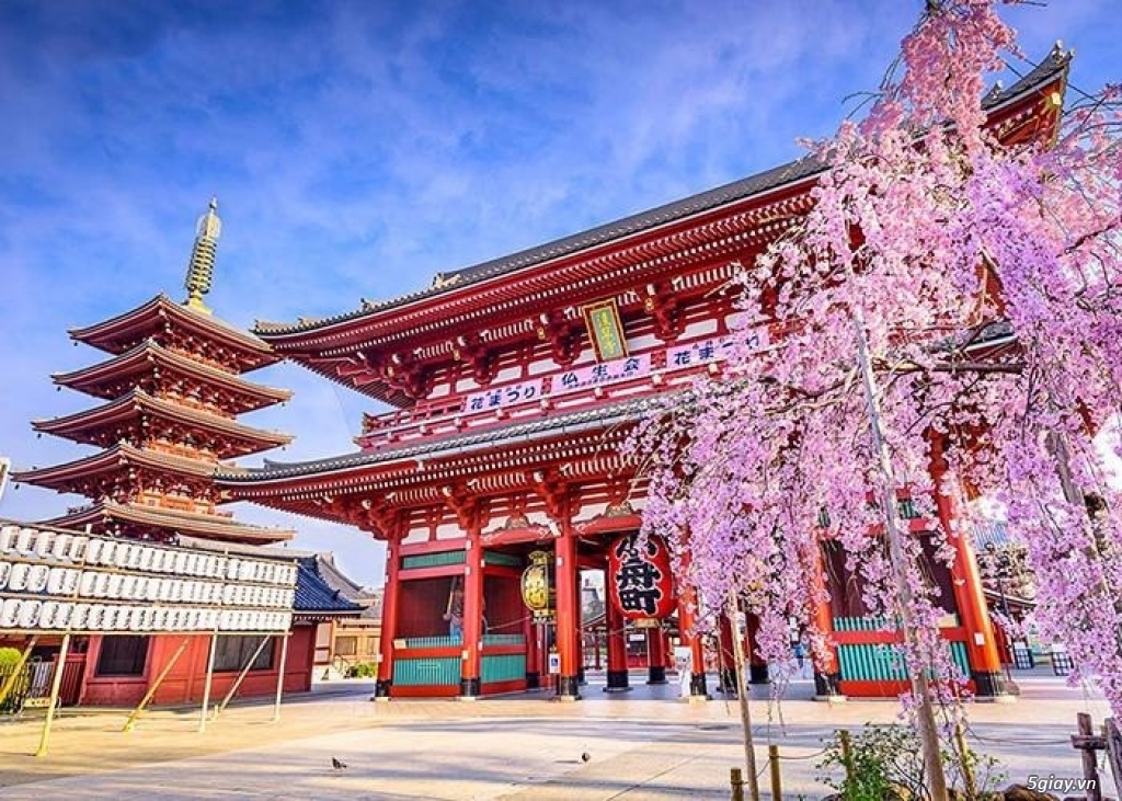 Tour Du lịch Nhật Bản đến xứ sở hoa anh đào - 2