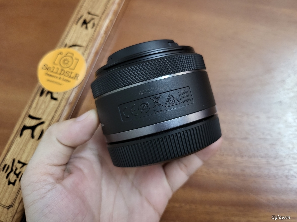 Canon EOS R / RF 85F2 / RF 35F1.8 / RF 16F2.8 / RF 50F1.8 / RF 24-105 - 33