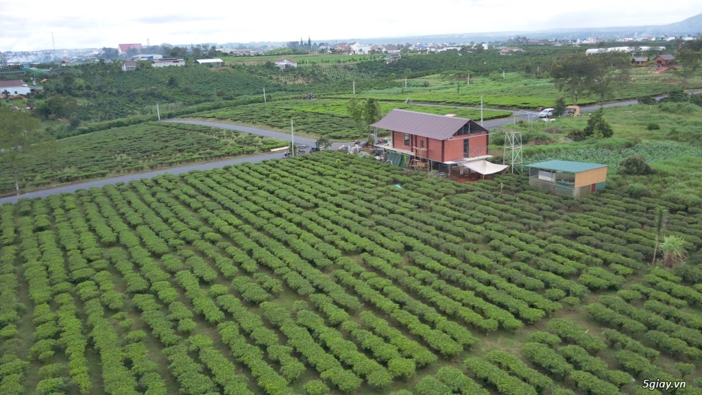 cần bán THE OCHA điểm check in mới tại TP Bảo Lộc