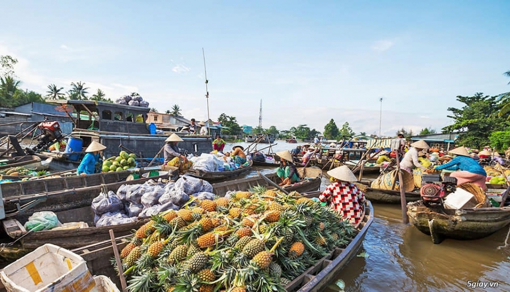 Tour Miền Tây 1 Ngày Mỹ Tho - Bến Tre - 8