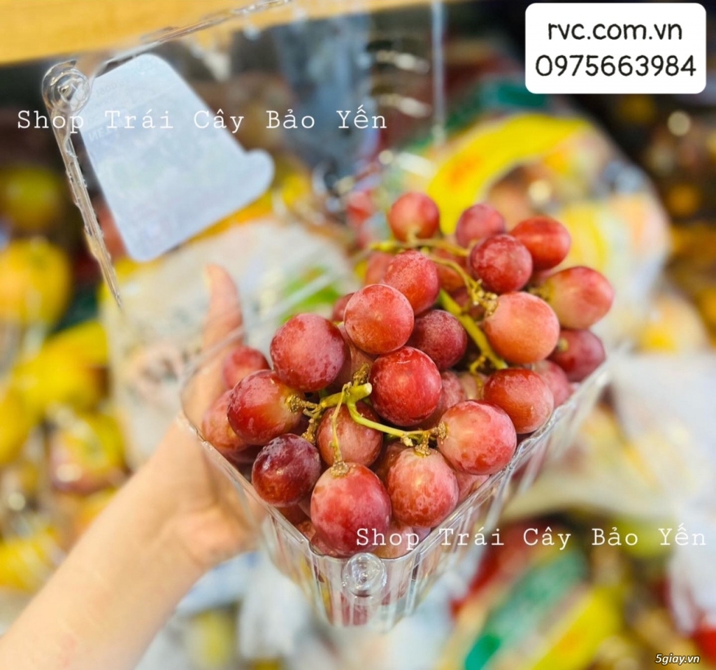 Hộp nhựa trái cây dùng 1 lần chuyên cung cấp vào siêu thị