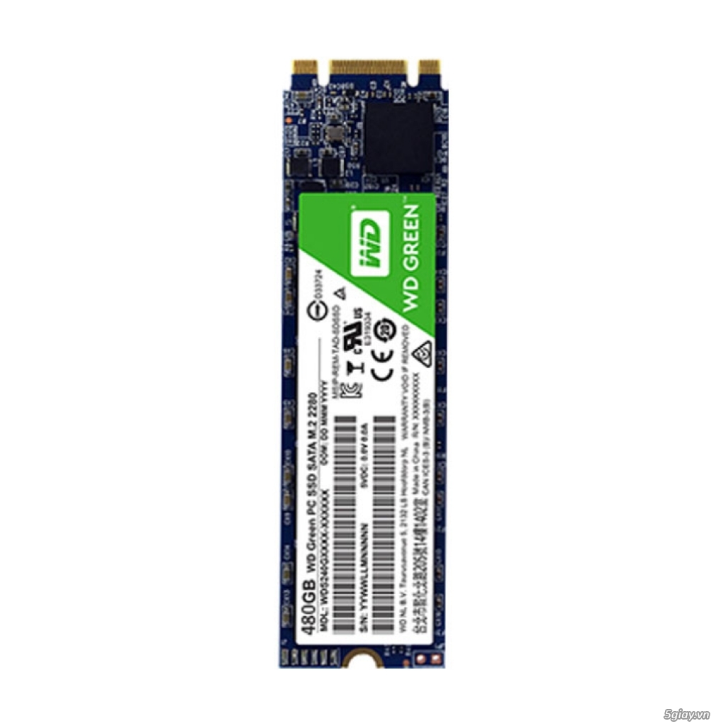 Ổ cứng SSD WD Green 480GB M2-2280 SATA 3 Chính Hãng - 1
