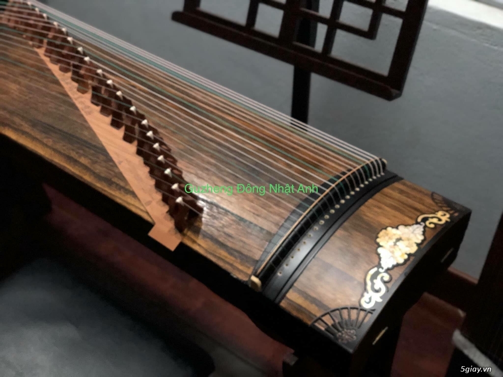 Bán đàn guzheng, guzheng Đông Nhật Anh 5giay