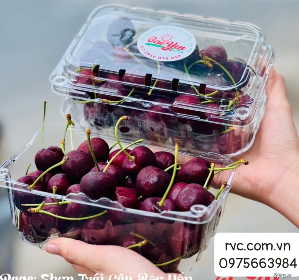 Mua hộp nhựa đựng cherry uy tín, chất lượng ở đâu?  20230227_044b5aba0a1e3648054f395bd9d5a18c_1677488147