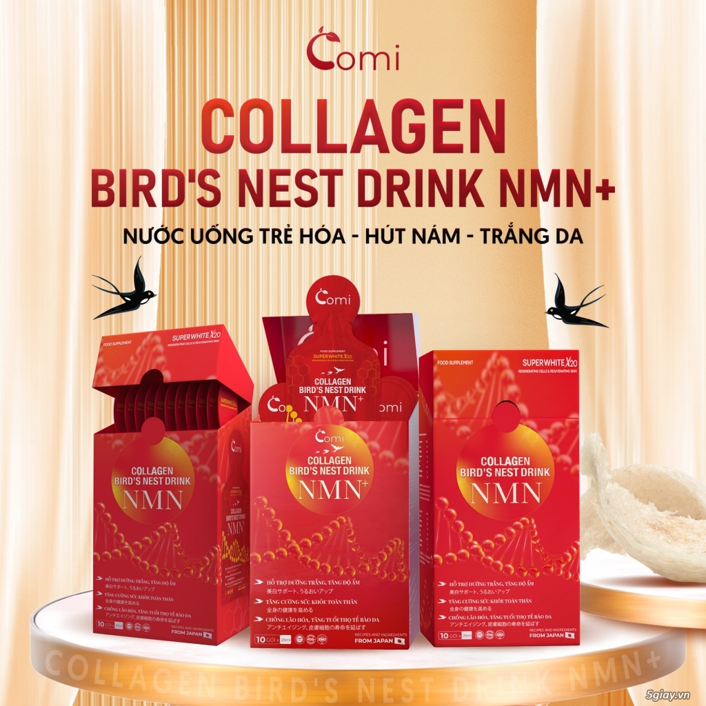 Collagen Yến Nmn+, Nước Uống Trẻ Hóa - Hút Nám - Trắng Da - 3