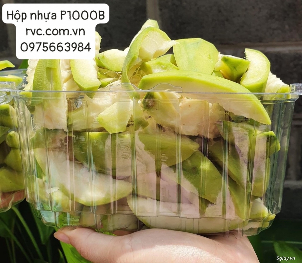 Hộp nhựa đựng hoa quả 1kg giá cực rẻ tại Đà Lạt  20230302_93a4fd1ed518d04c3d632f0f175122fe_1677751350