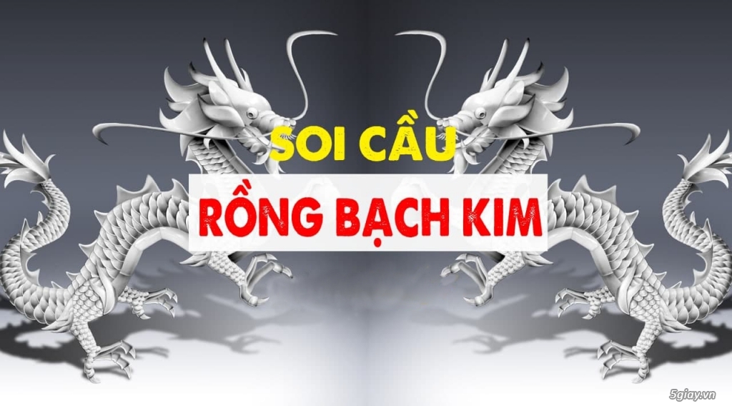 Hướng dẫn soi cầu rồng bạch kim chuẩn xác 100% | 5giay