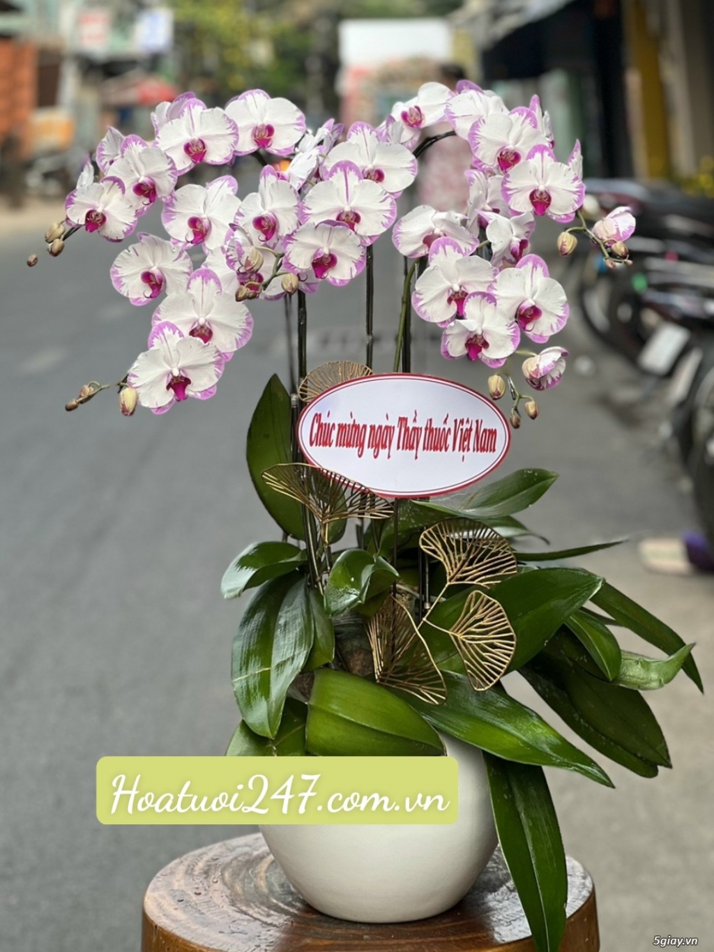 Mua hoa tươi tặng nàng 8/3 đặt ngay Lan Hồ Điệp tại Hoa Lan 247 SàiGòn - 13