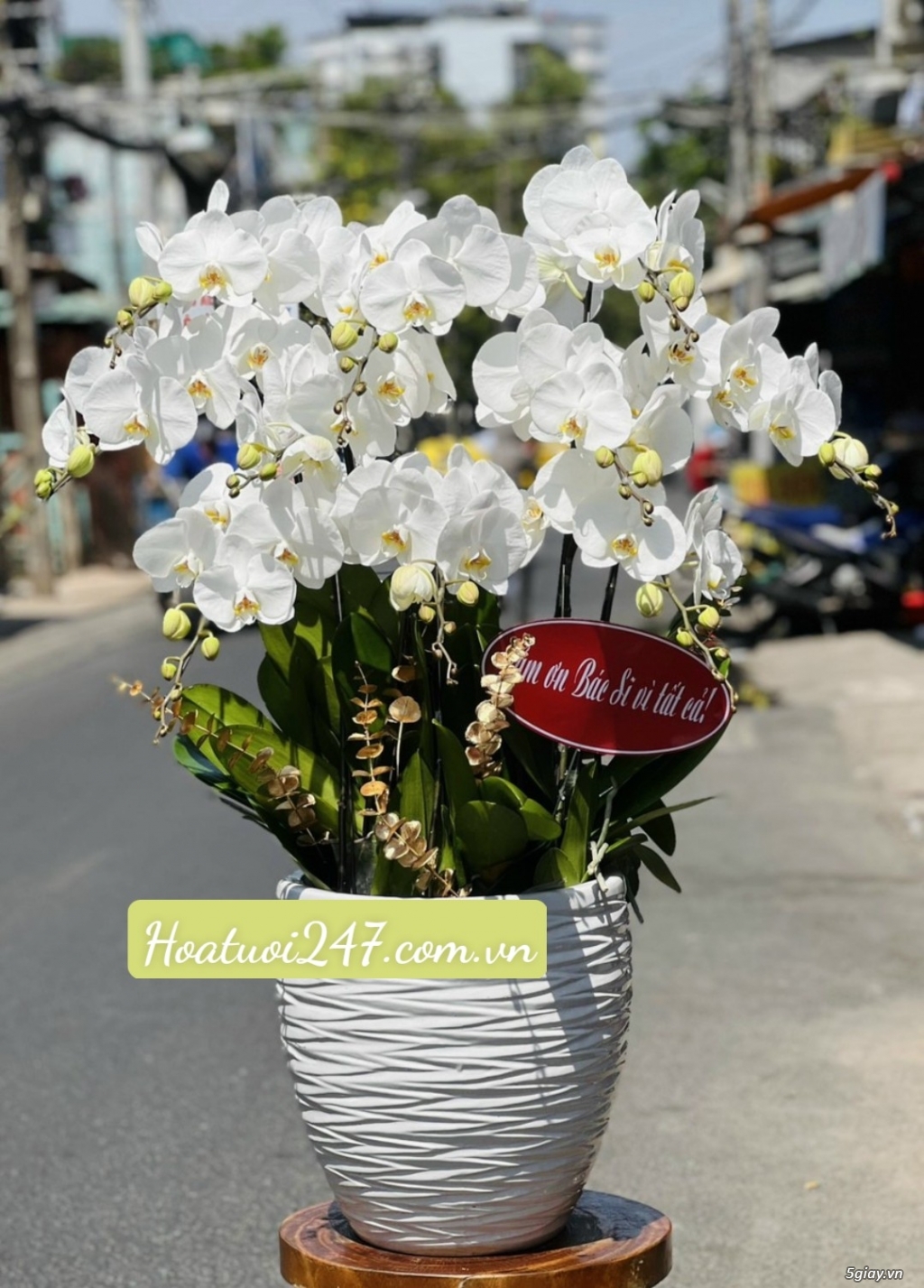 Mua hoa tươi tặng nàng 8/3 đặt ngay Lan Hồ Điệp tại Hoa Lan 247 SàiGòn - 12