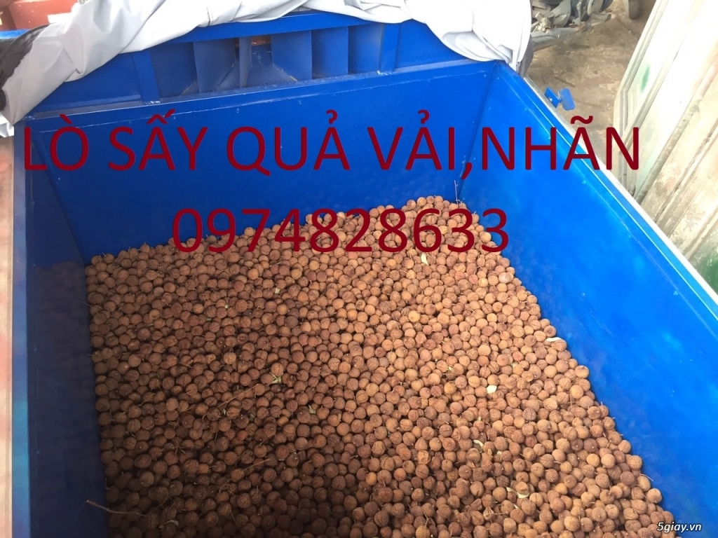 lò sấy vải thiều - 1