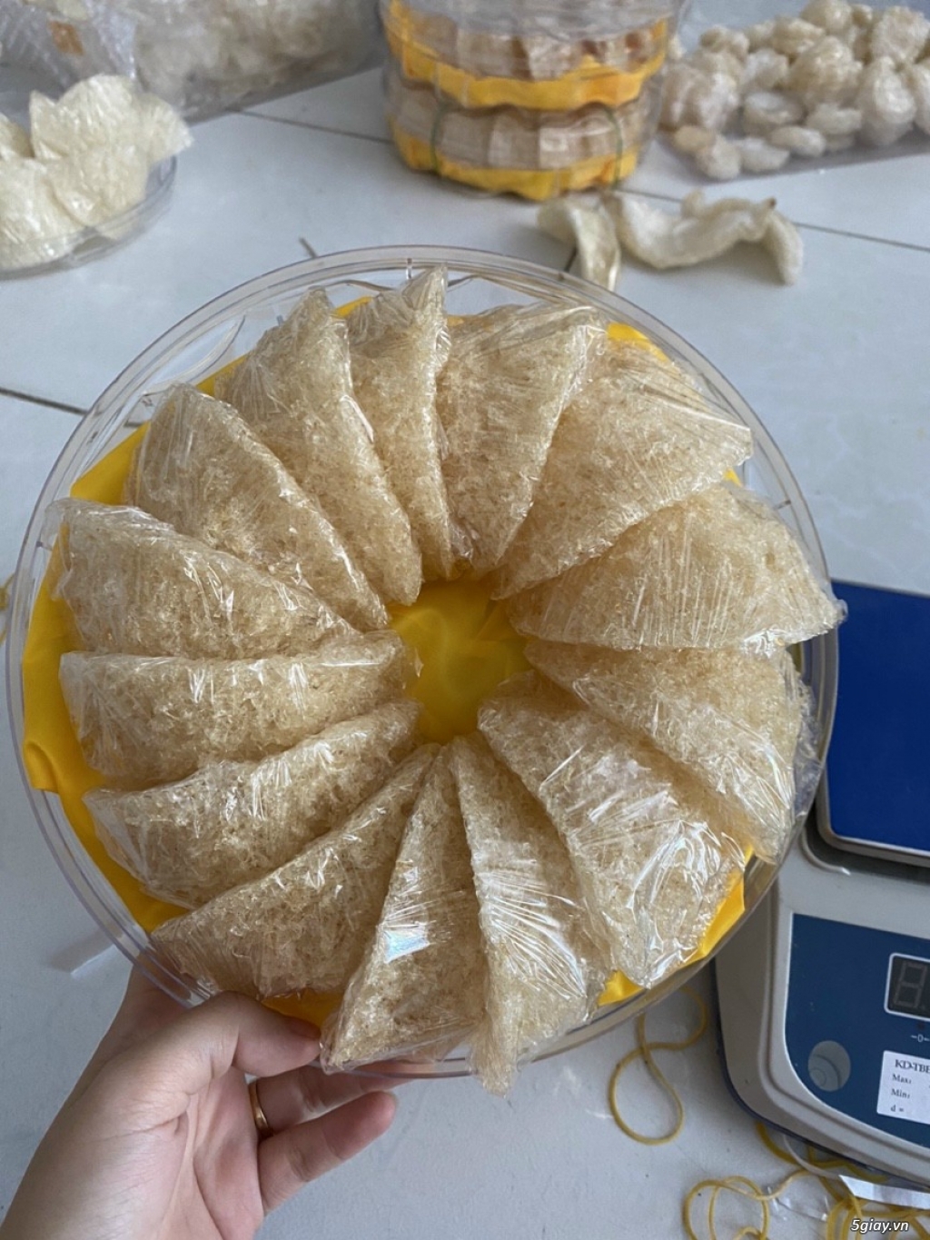 Yến sào nhà nuôi