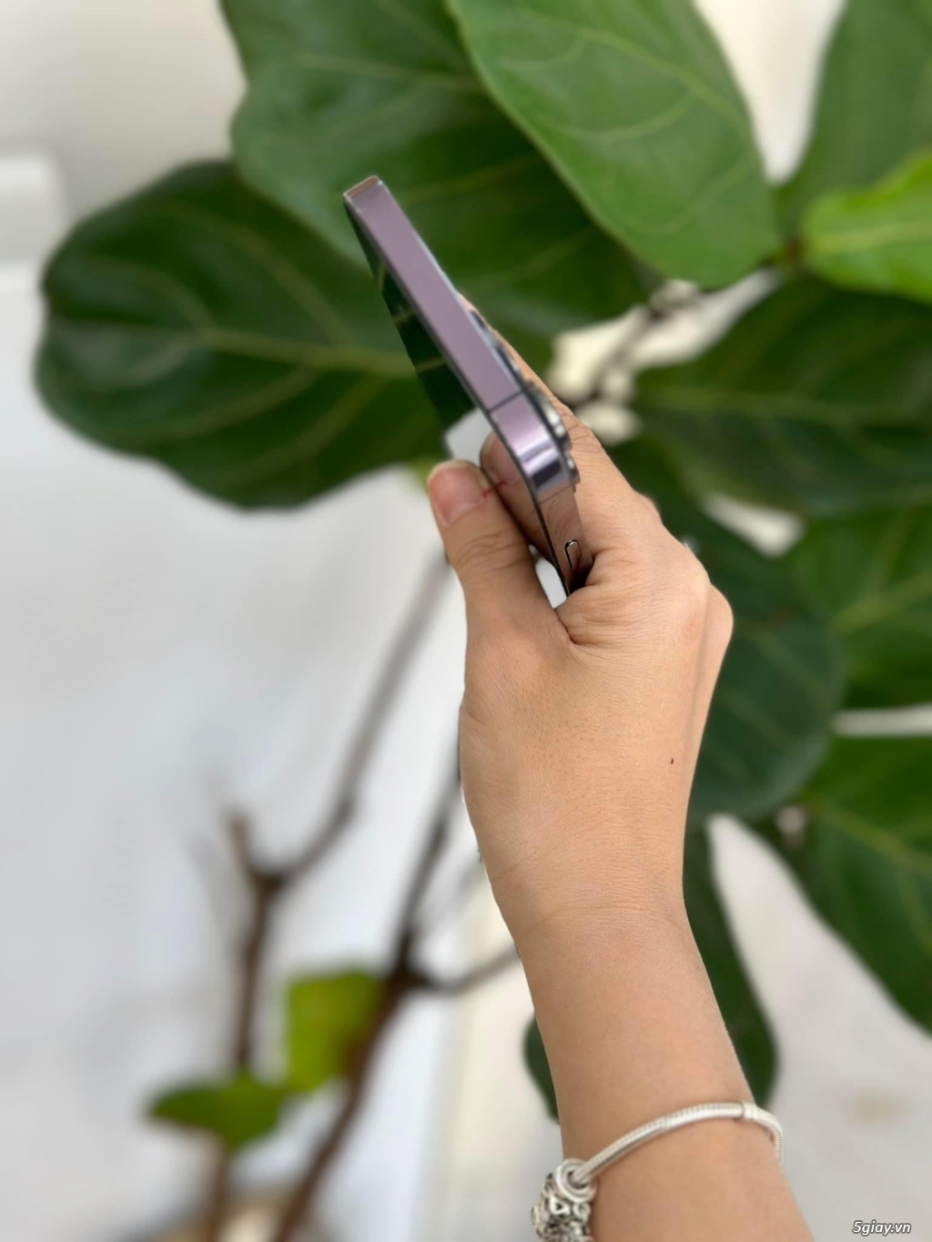 Iphone 14 Promax 256G Tím - 3