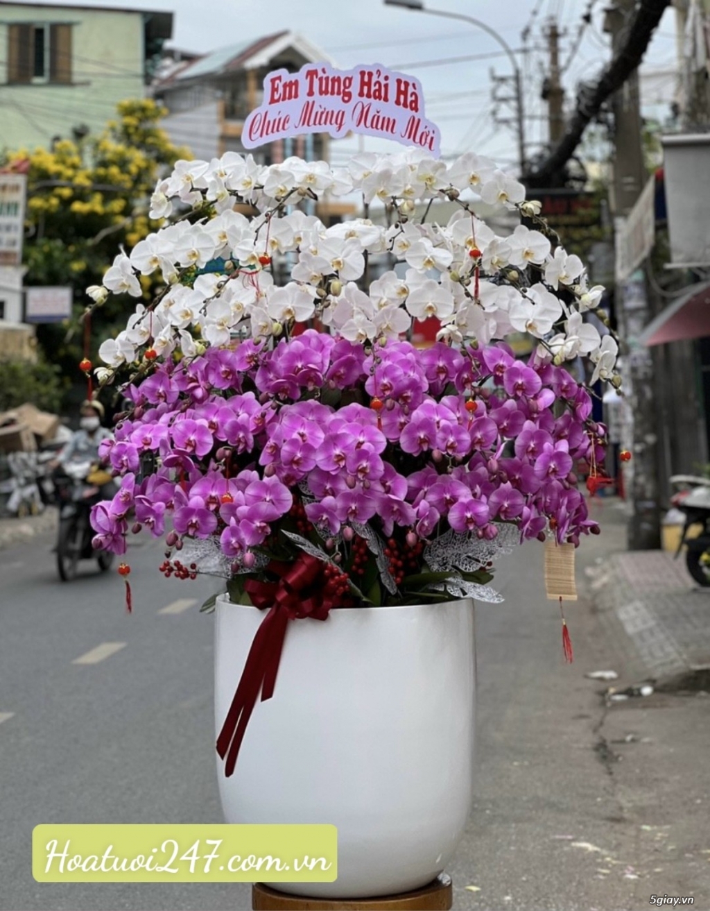 TOP 12 NHỮNG CHẬU HOA LAN HỒ ĐIỆP ĐẸP CAO CẤP TẶNG SINH NHẬT ĐẸP NHẤT - 2