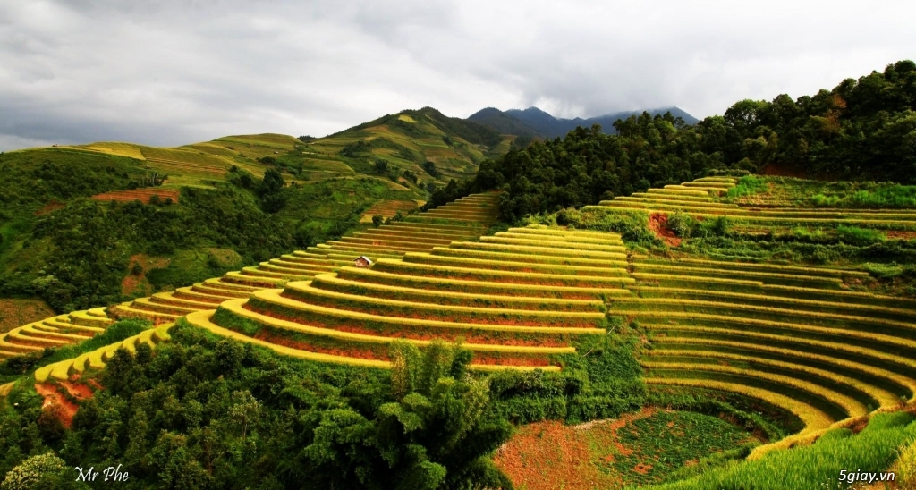 Trip Mù Căng Chải - 1