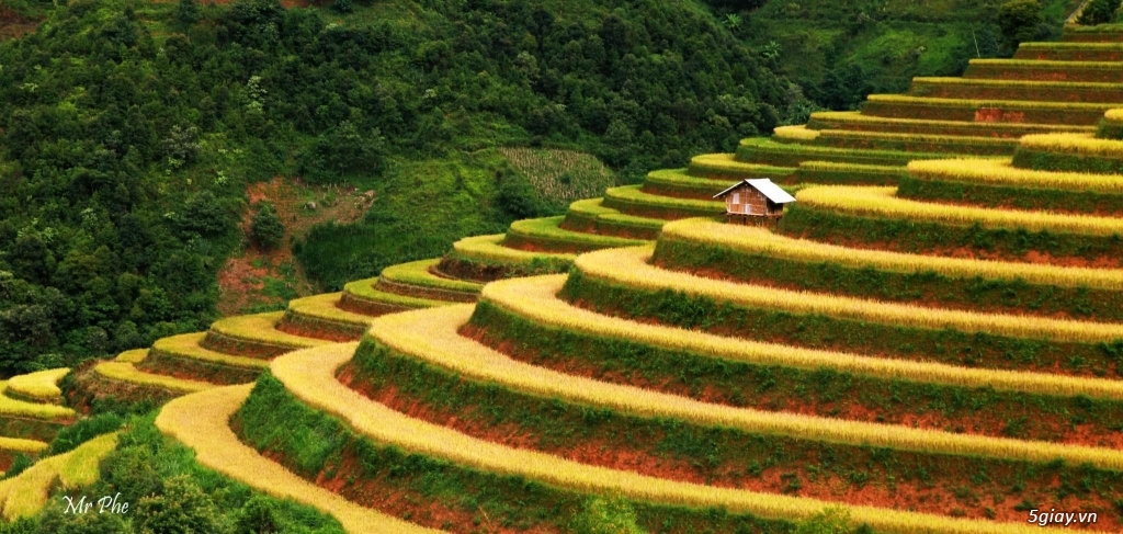 Trip Mù Căng Chải