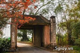 Dã ngoại Làng Cổ Đường Lâm