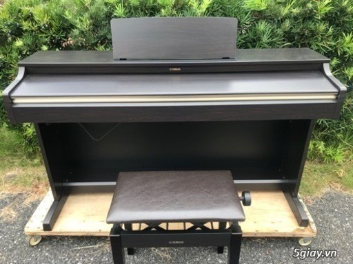 Piano Yamaha ydp 162 giá rẻ