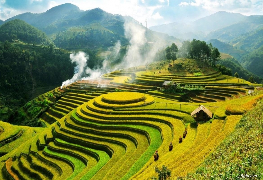 Mùa Lúa Tây Bắc