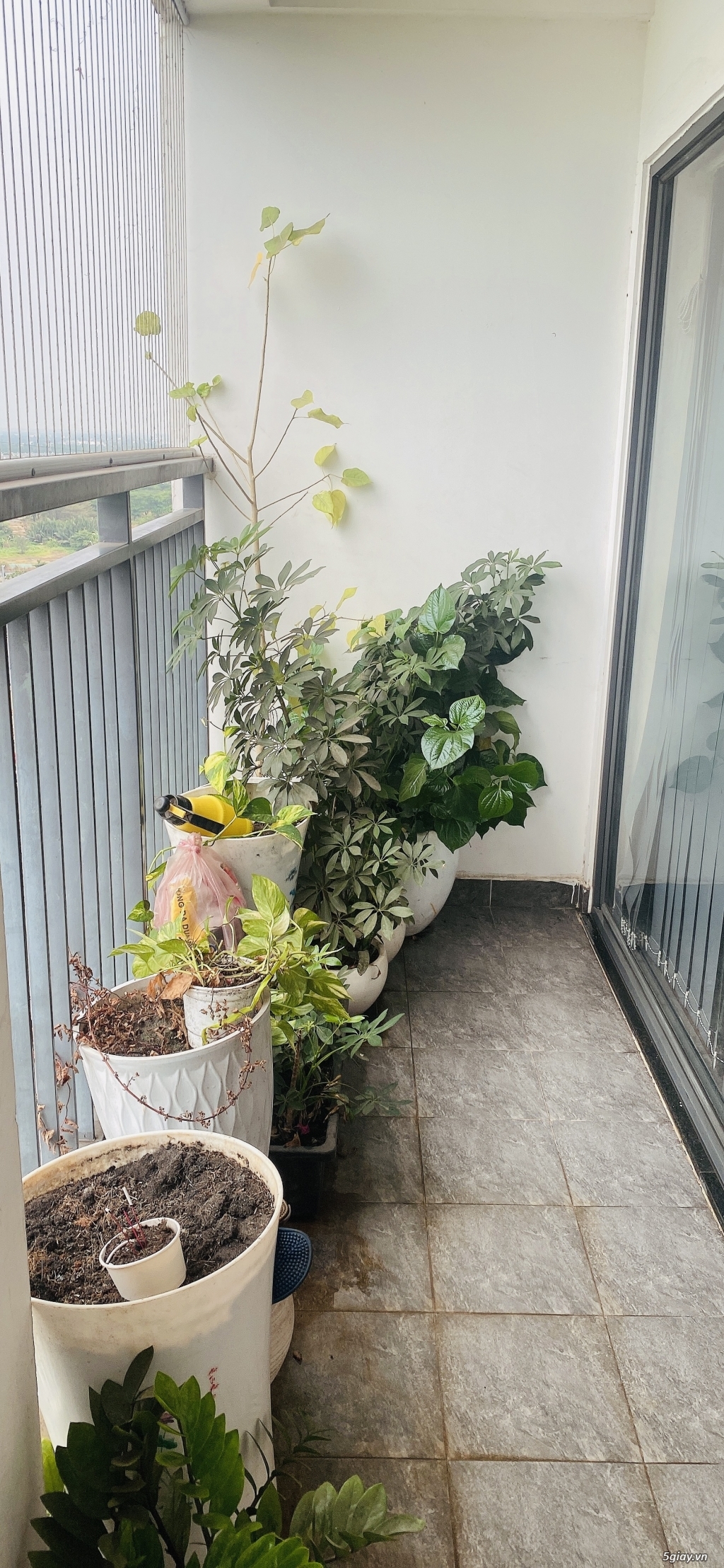 Căn Hộ Chung cư thủ thiêm garden Thủ Đức - 8