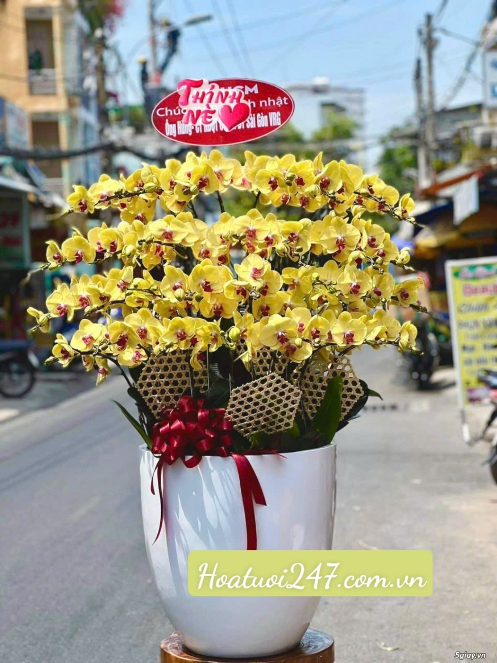 Tìm hiểu về Hoa Lan Hồ Điệp - Ý nghĩa của các màu hoa tại Hoa Lan 247 - 12