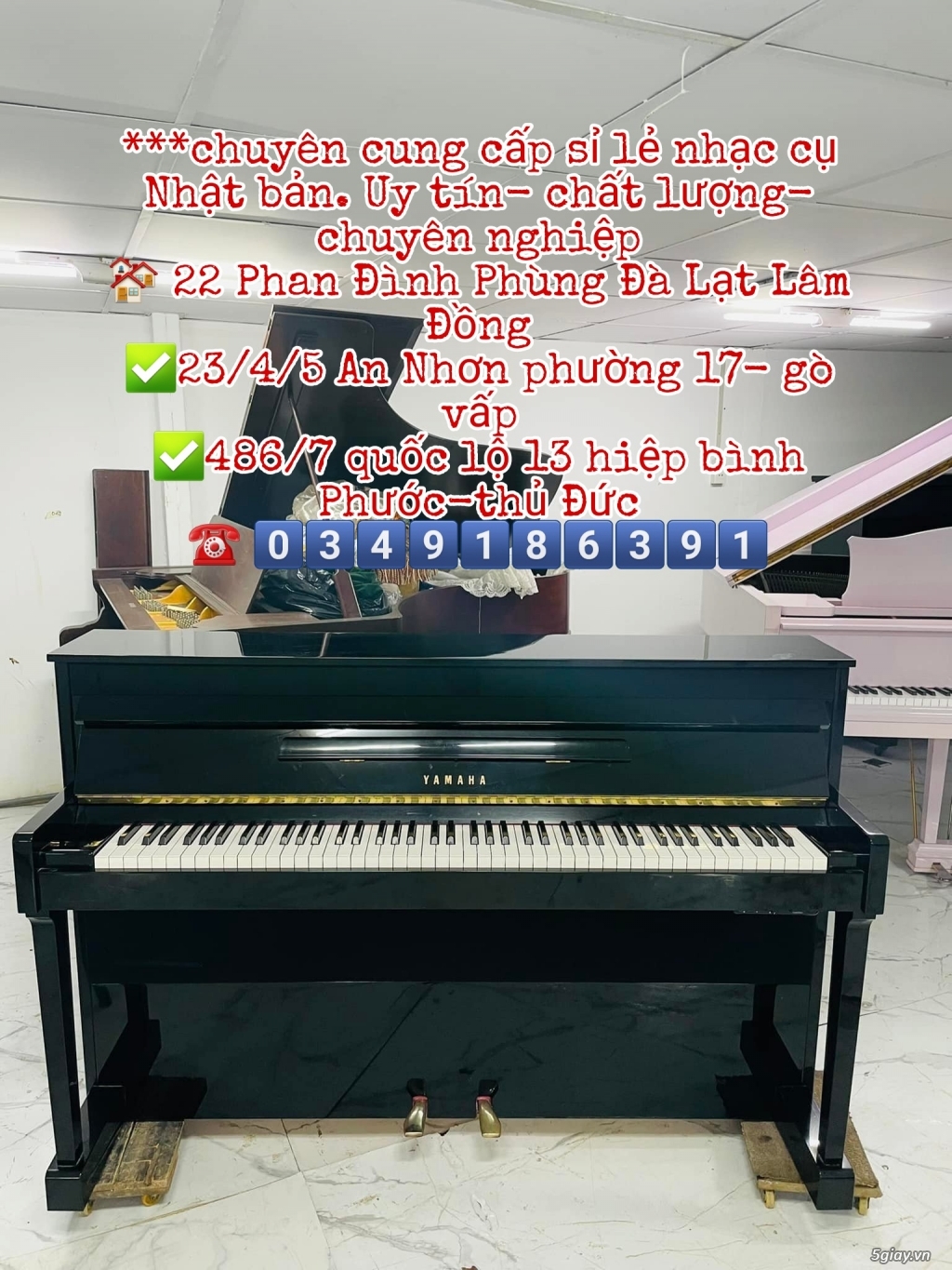 Bán đàn piano giá rẻ  - ship tận nhà trên toàn quốc zalo 0979027097 - 5