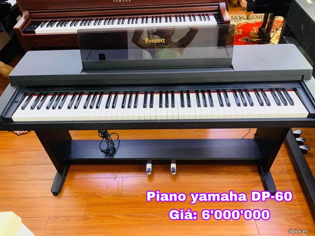 Bán đàn piano giá rẻ  - ship tận nhà trên toàn quốc zalo 0979027097 - 11