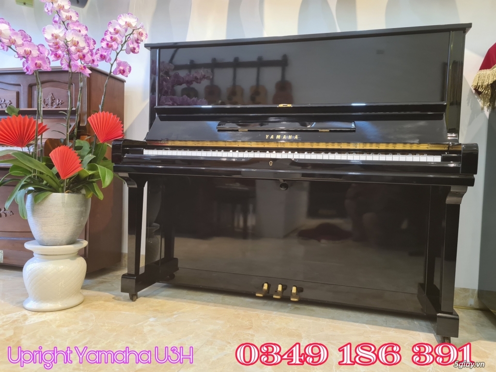 Bán đàn piano giá rẻ  - ship tận nhà trên toàn quốc zalo 0979027097 - 15