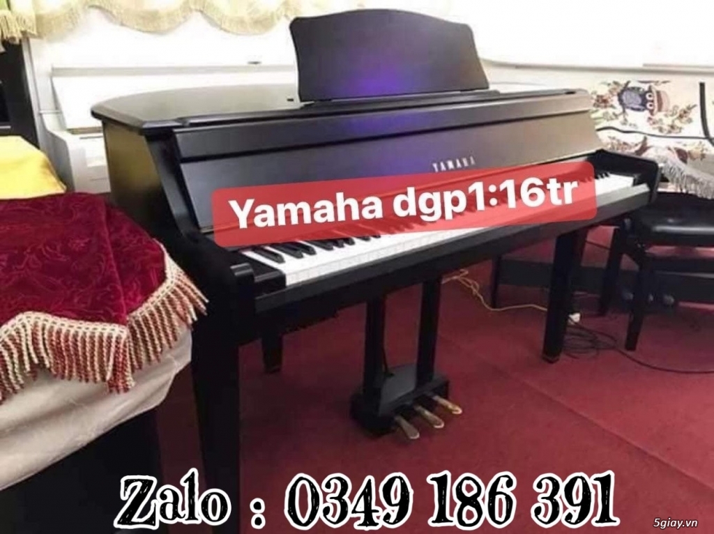 Bán đàn piano giá rẻ  - ship tận nhà trên toàn quốc zalo 0979027097 - 17