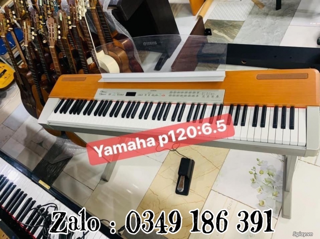 Bán đàn piano giá rẻ  - ship tận nhà trên toàn quốc zalo 0979027097 - 22
