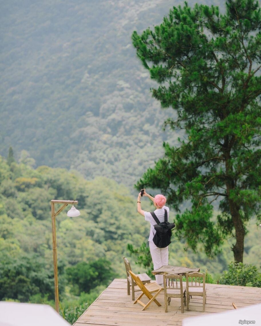 Thong Dong Tam Đảo - 2