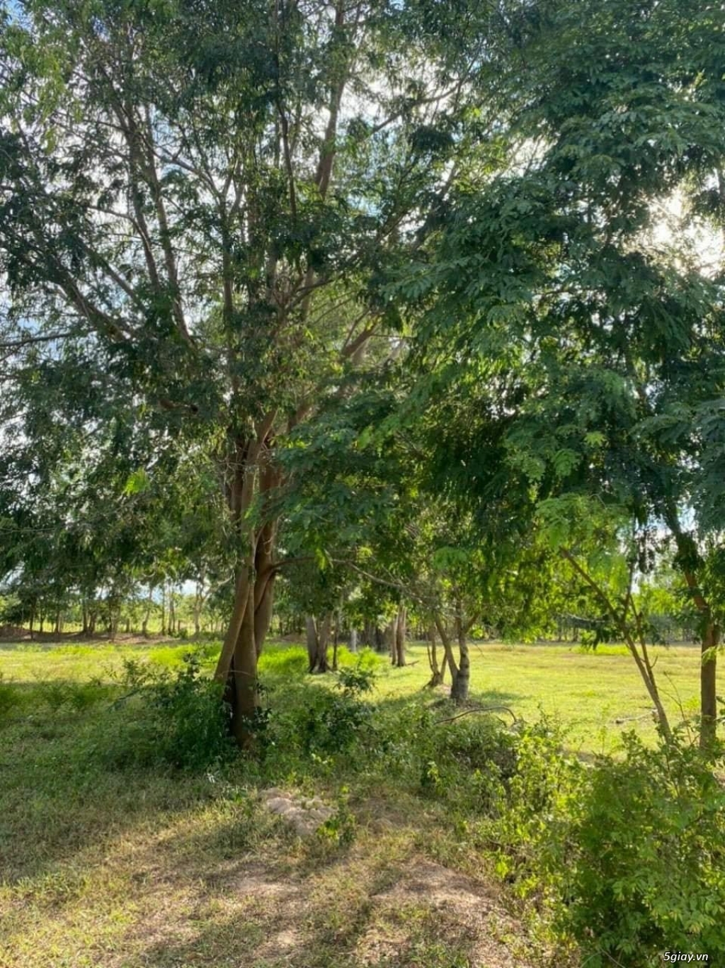 Bán lô Hàm Thuận Bắc có hồ nước lớn 12.463m2 giá 2.36 tỷ cho trả góp - 2