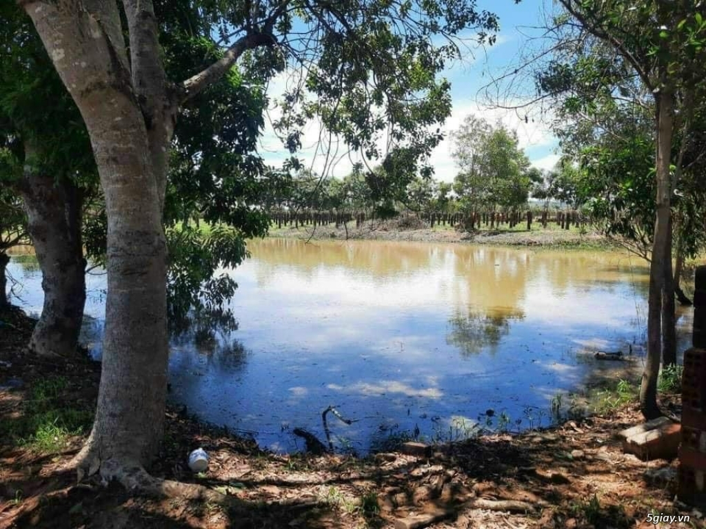 Bán lô Hàm Thuận Bắc có hồ nước lớn 12.463m2 giá 2.36 tỷ cho trả góp - 4